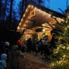 12 a Waldweihnacht